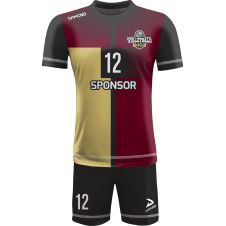 Volleyballtrikot Helix 5 | Teamsets | Damons